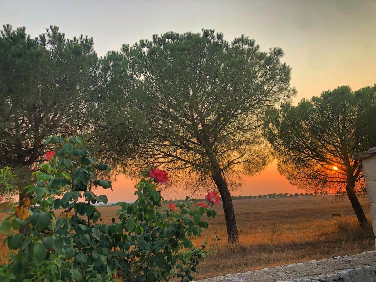 Masseria Casina Montana Corigliano dʼOtranto Buitenkant foto