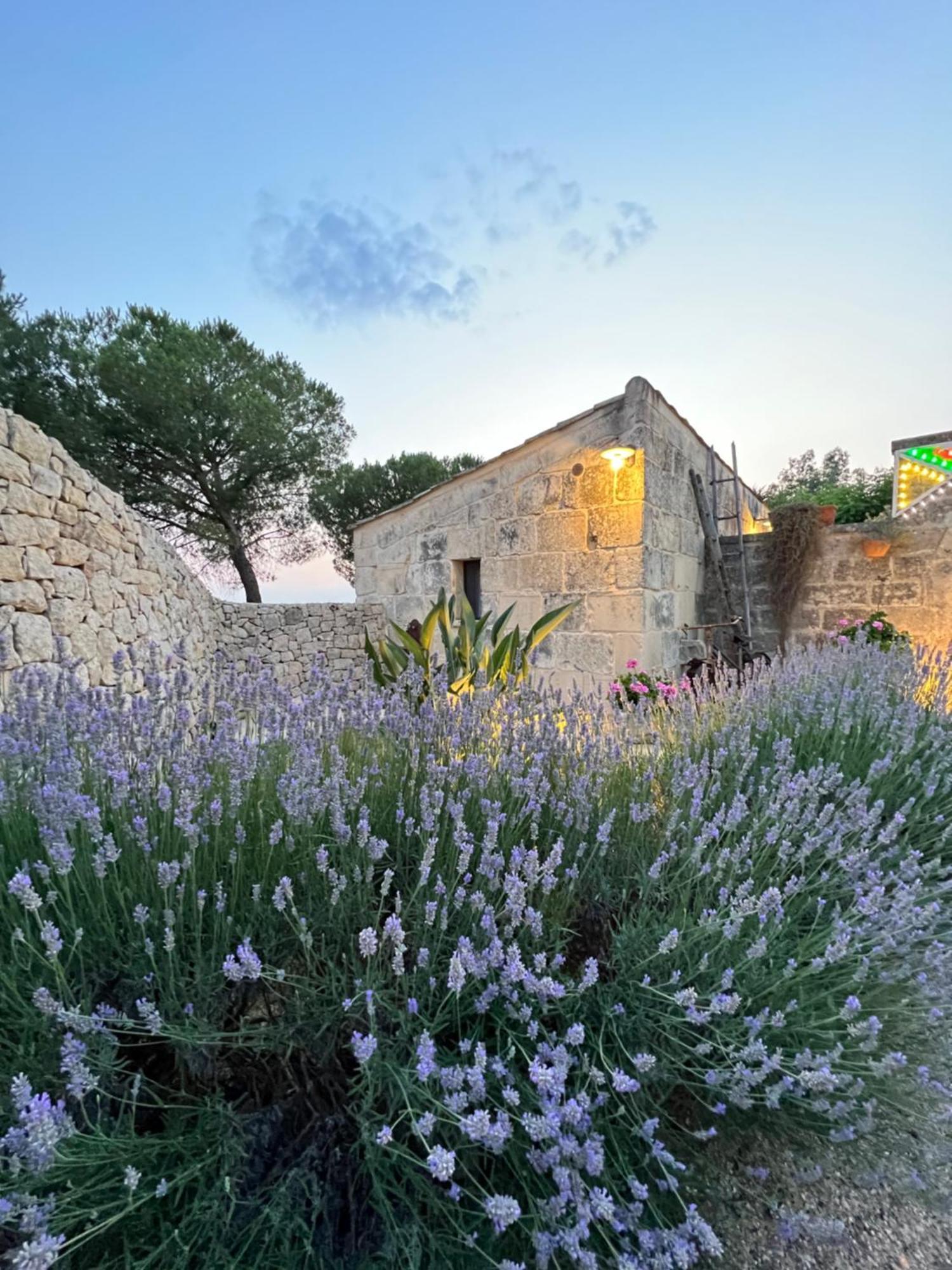 Masseria Casina Montana Corigliano dʼOtranto Buitenkant foto