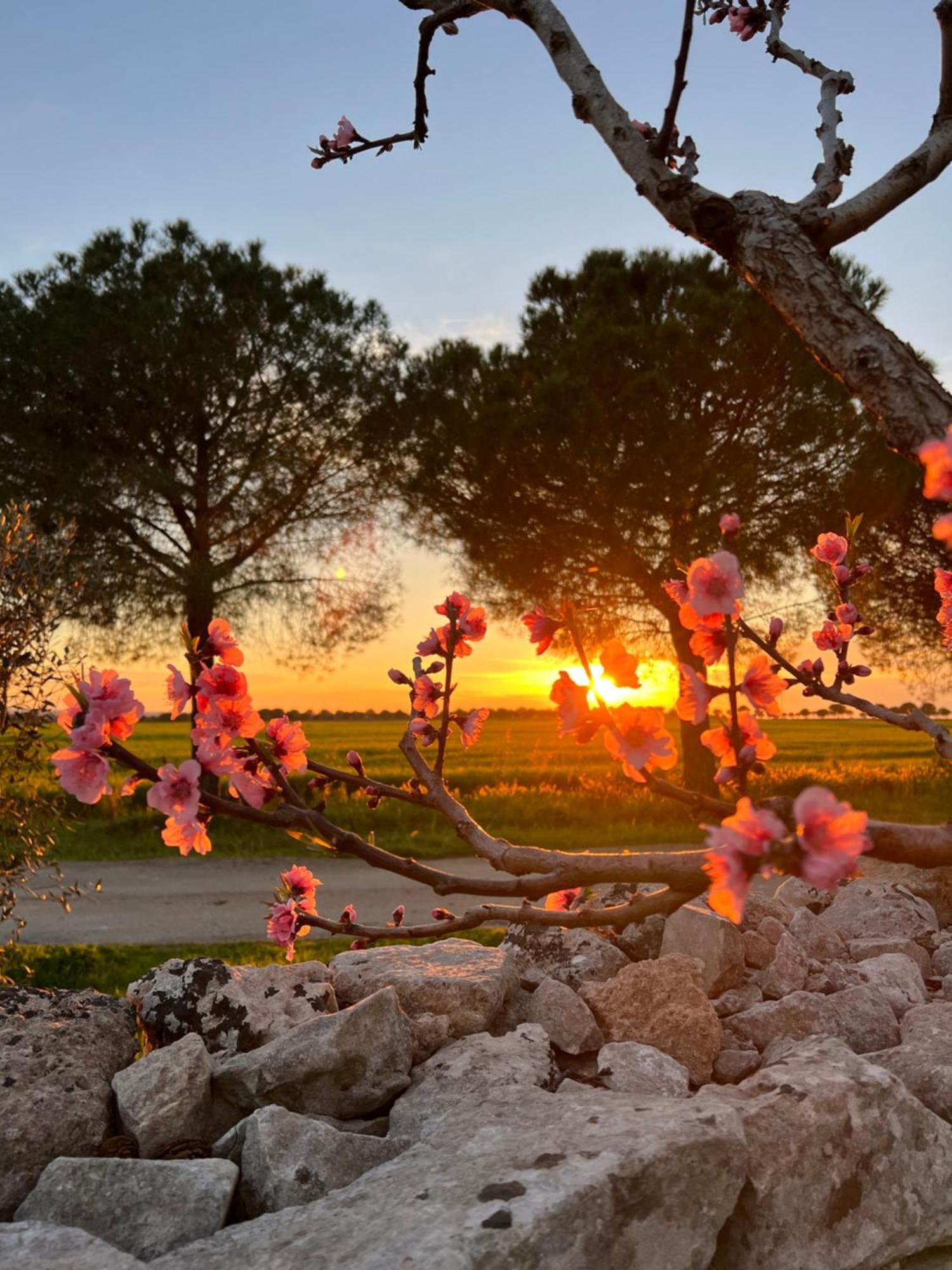 Masseria Casina Montana Corigliano dʼOtranto Buitenkant foto