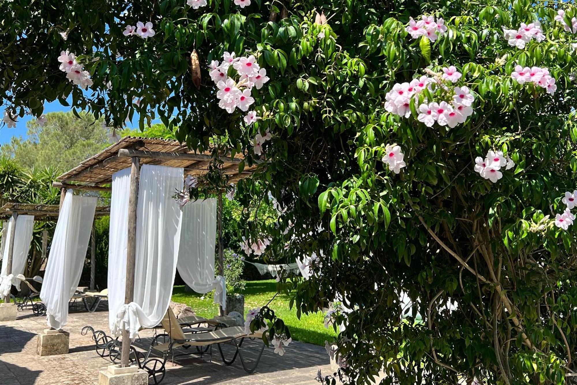 Masseria Casina Montana Corigliano dʼOtranto Buitenkant foto